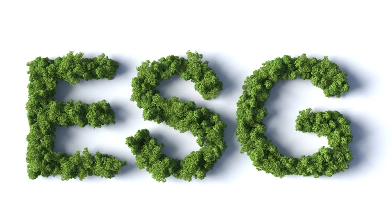 A forest scene with trees shaped into the acronym ESG, which stands for environmental, social, and governance.
