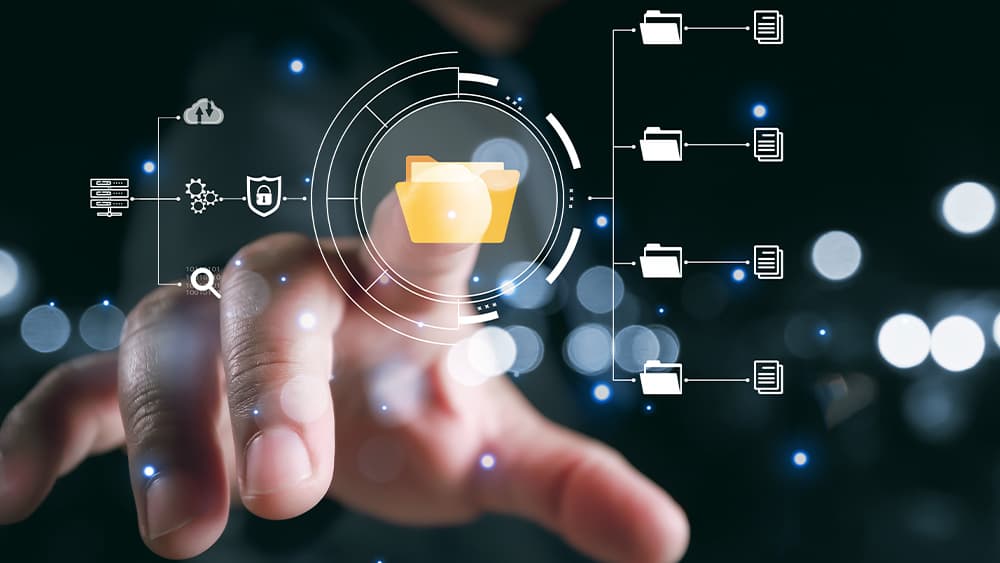 Litigation Resourcing Support for Data Collection